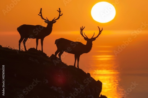 Silhouetted Deer at Sunset Over Rocky Coastline © ZeeZaa