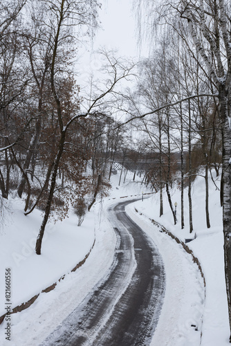 A road cleared of snow in a park, view from the height of the bridge © Nikolai