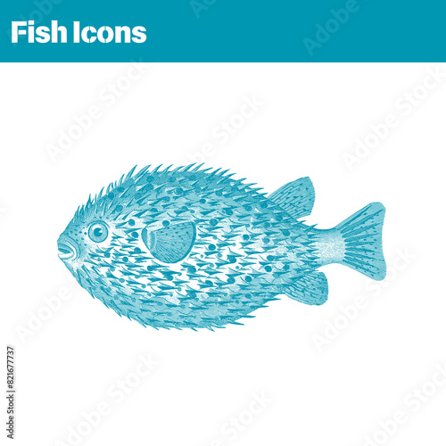 fish icon 