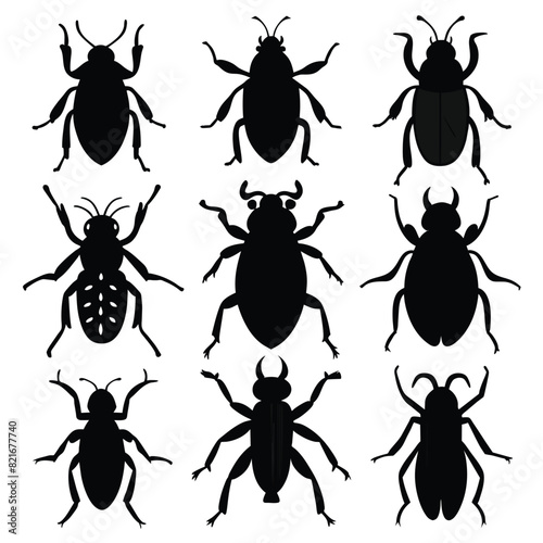 Set of Black Ambrosia Beetle Silhouette Vector on a white background © mobarok8888