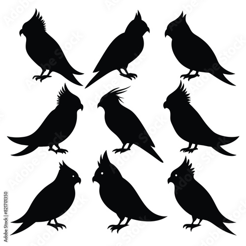 Set of Cockatiel animal black Silhouette Vector on a white background