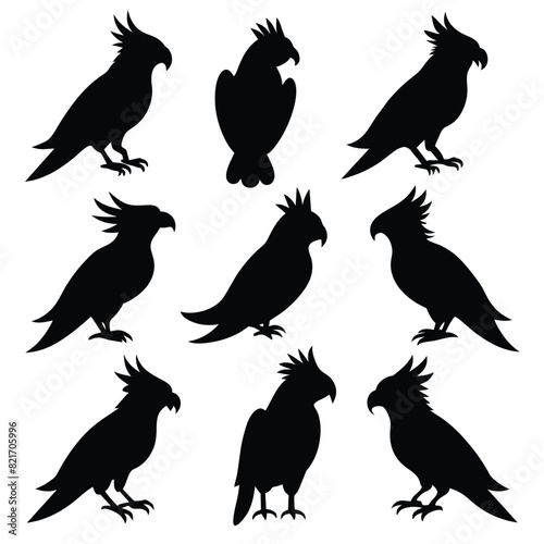 Set of Cockatoo animal black Silhouette Vector on a white background