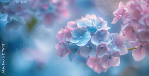 Tiny Flower Background with Elegant Hydrangeas