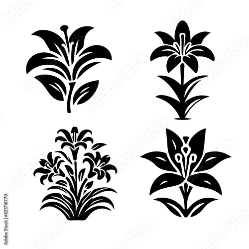 easter lilly illustration on white background