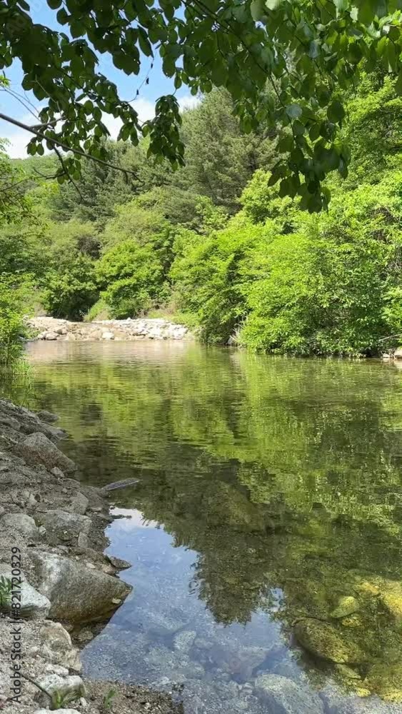 Take a moment to relax your mind while enjoying the beauty of nature. The sound of valley water, the beauty of nature, and the healing scenery Take a moment to relax your mind while enjoying the beauty of nature. The sound of valley water, the beauty of nature, and the healing scenery
