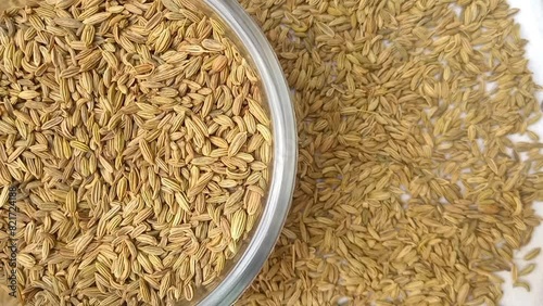 Half of circle shaped Fennel seeds glass bowl spices spilled around it, left half of the frame, rotating, white background, closeup, herbs and spices photo