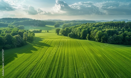 Drone footage of green rural landscape with grass, crops and forest. Bavaria, Germany photo