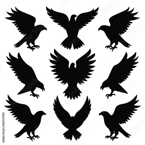 Set of Hawk black Silhouette Vector on a white background