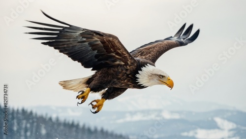 Eagle Flying in snow mountains