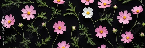 cosmos flowers and leaves on plain black background from Generative AI