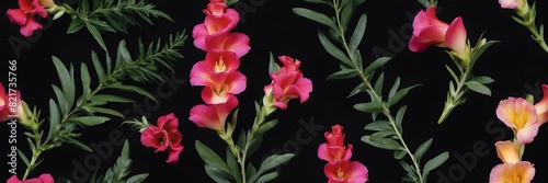 snapdragon flowers and leaves on plain black background from Generative AI