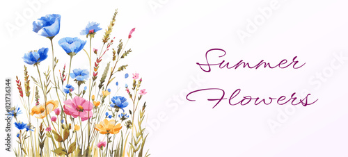 Watercolor wild flowers on isolated background. Summer wildflowers banner. Watercolor botany, png.