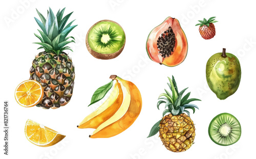 Watercolor set of fruits png. Pineapple, banana, strawberry, papaya, mango, kiwi orange. Tropical watercolor fruits on isolated background. Vector illustration.