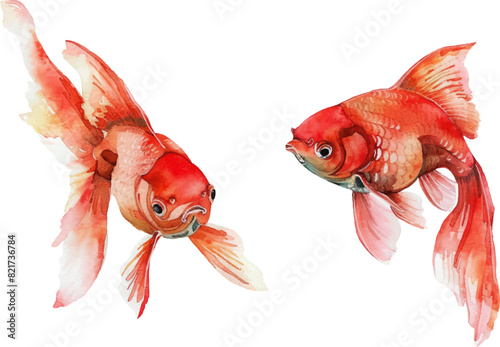 Watercolor red fish png. Bright red fish on an isolated background. Elements for patterns, menus and other designs for marine themes. Vector illustration