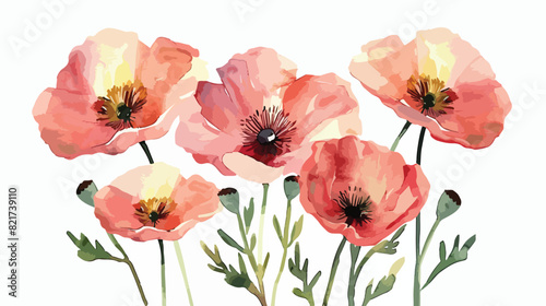 Flowers pink poppies watercolor painting for spring s