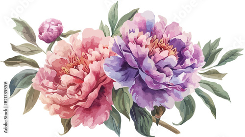 Flowers watercolor pink and violet peonies. Floral bo