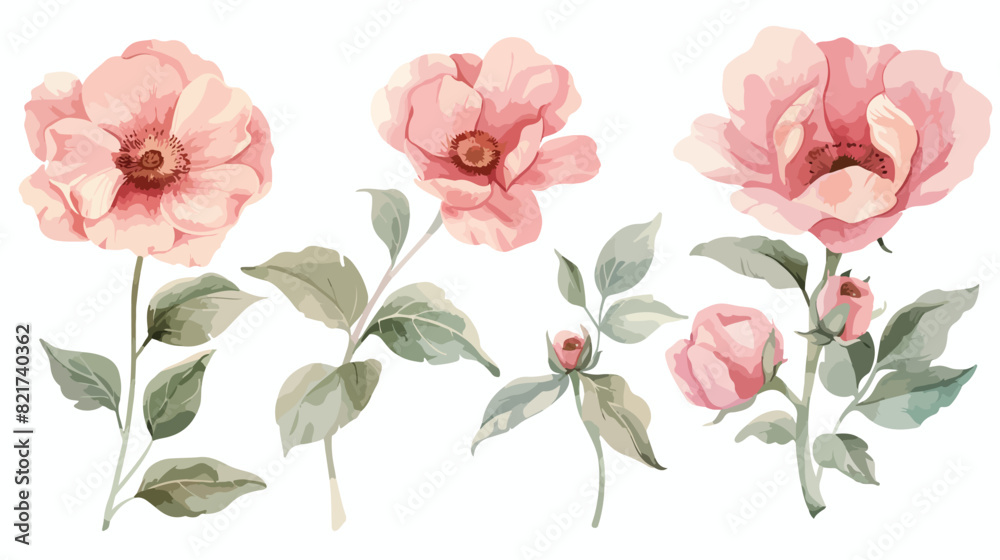 Four pink flower and leaves painting watercolor floral