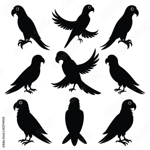 Set of Macaw animal black Silhouette Vector on a white background