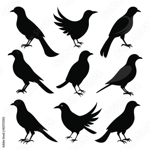 Set of Magpie animal black Silhouette Vector on a white background