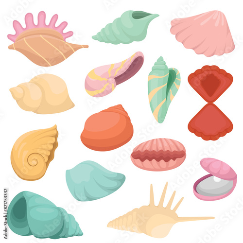 seashells flat Illustration Collection