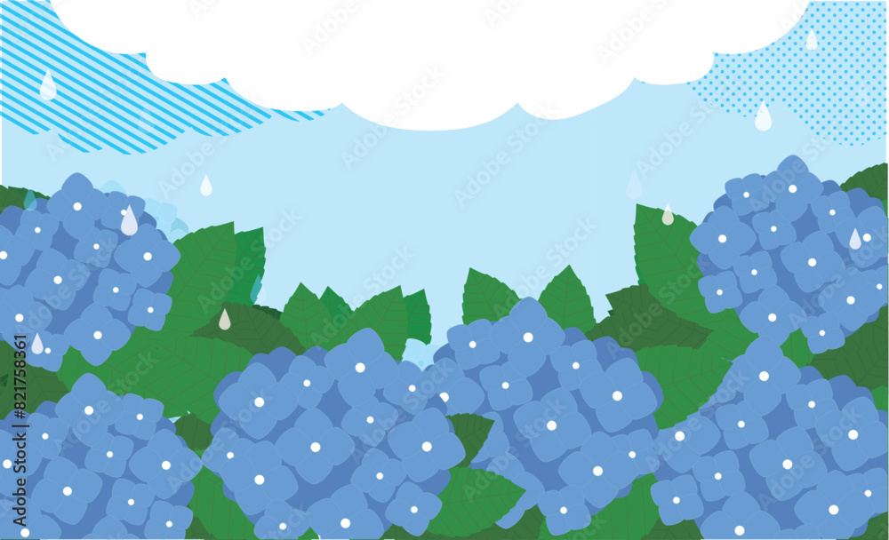 紫陽花の花の梅雨背景