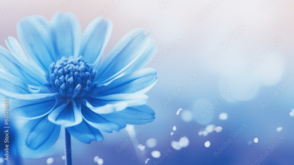 a blue flower, with the petals in full bloom. a blue flower, with the petals in full bloom.