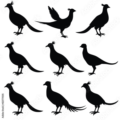 Set of Pheasant animal black Silhouette Vector on a white background