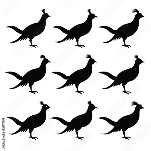 Set of Pheasant animal black Silhouette Vector on a white background