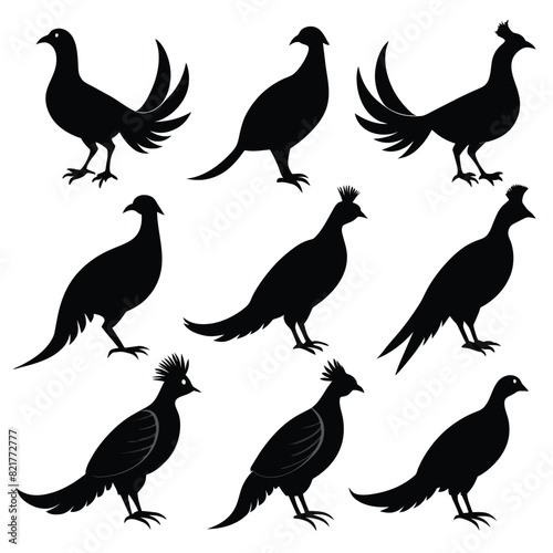 Set of Pheasant animal black Silhouette Vector on a white background