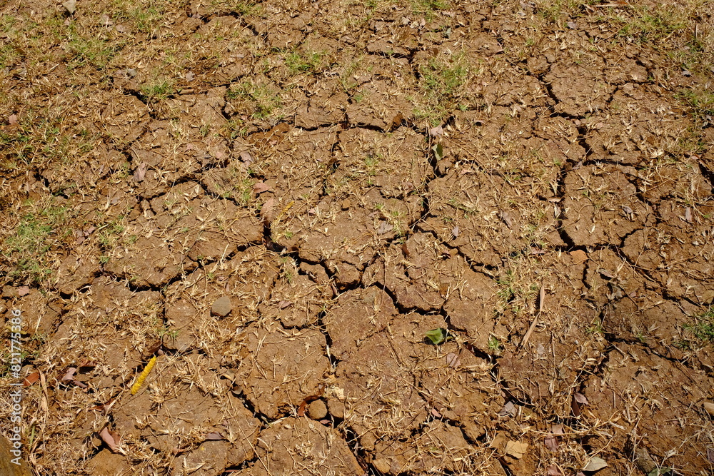 Fototapeta premium cracked clay surface due to lack of water in the dry season. this light orange clay is suitable for wallpaper or background. dry season. climate change 