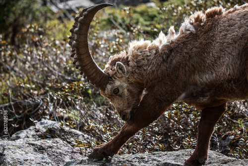 Fototapeta Naklejka Na Ścianę i Meble -  Szwajcaria