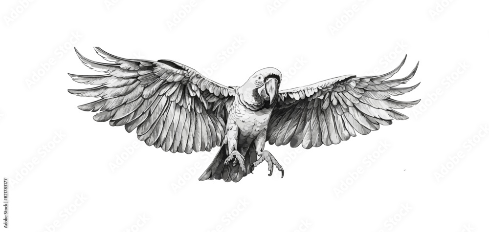 Naklejka premium parrot Engraving style. Simple pencil drawing vector