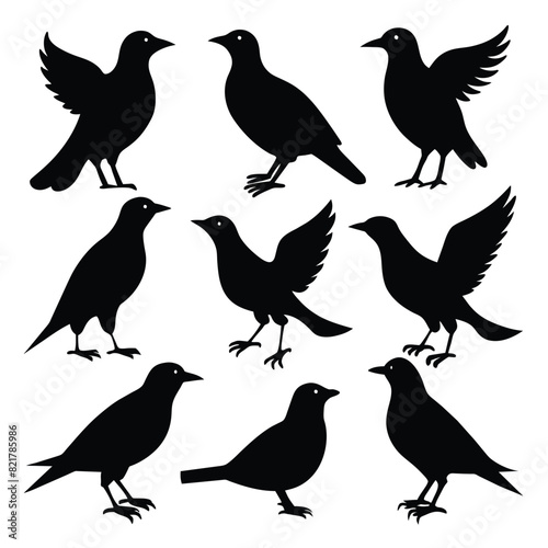 Set of Starling animal black Silhouette Vector on a white background