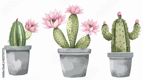 Cactus blooming in grey pot watercolor floral illustration