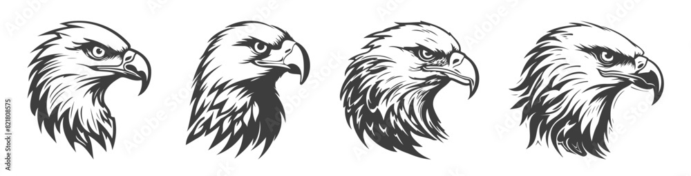 set of eagle silhouettes, black and white vector design, set of eagle silhouettes, black and white vector design,