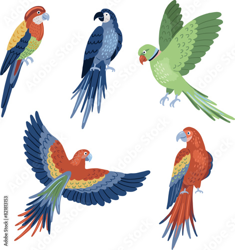 StockImage Parrots Ellen Gozel photo