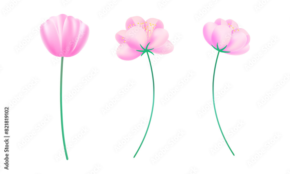 Naklejka premium Realistic cherry blossoms on white background