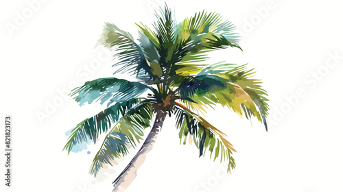 Watercolor coastal palm tree hand painted isolated on