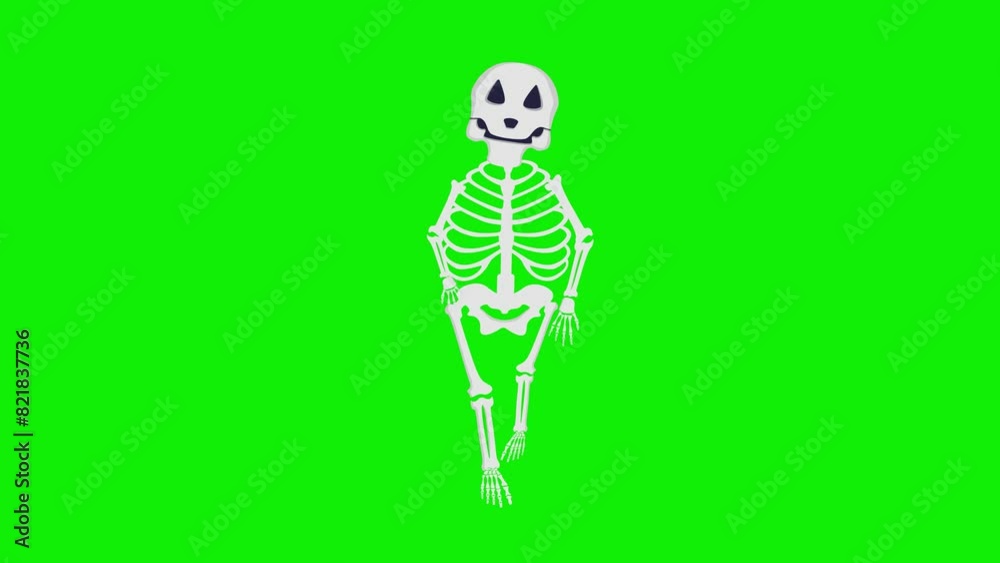 Cartoon skeleton body organs front pose walk cycle on green screen background, character walking 4k animated video