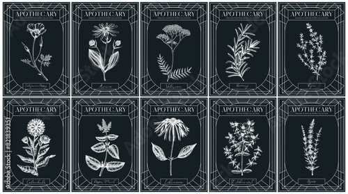 Apothecary labels set. Healing plants and medicinal herbs sketches on chalkboard. Art nouveua, adt deco, retro style. Vintage frame design templates. NOT AI generated