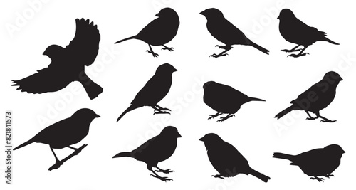 Sparrow Silhouette Vector Illustration Bundle