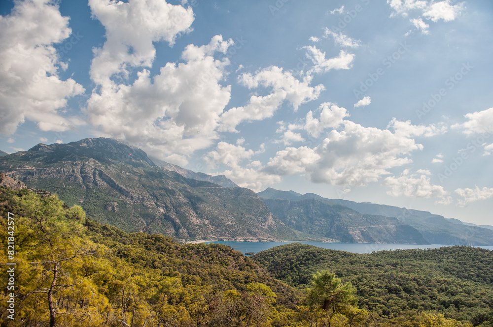 Beautiful atmospheric landscape with sea, forest hills, sunny sky and tree branch