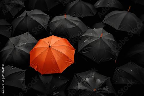 Stand Out in a Crowd A Lone Orange Umbrella Among Black Ones 