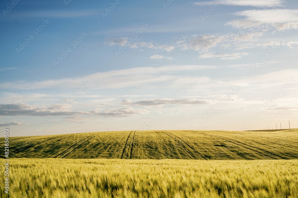 Amazing landscape of agricultural field. Rural non urban scene Amazing landscape of agricultural field. Rural non urban scene