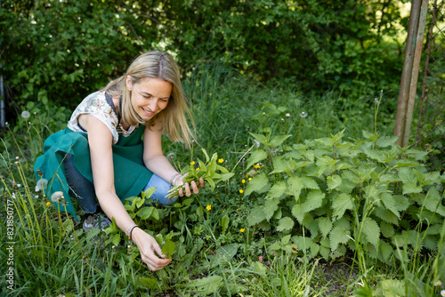 pretty, attractive woman in her early 40s, collects wild herbs in the garden, meadow, forest for a salad, for cooking, eating, for smoothies
