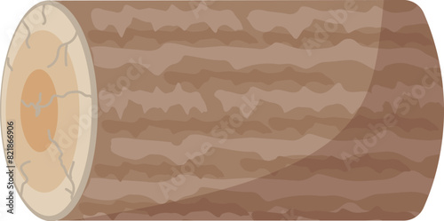 Flat design illustration featuring a cartoonstyle wooden log cross section