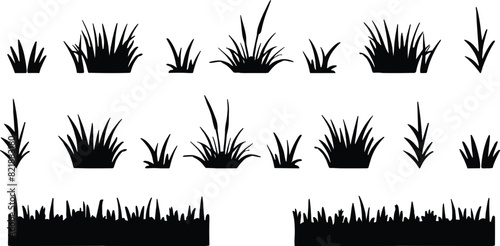 Set of grass silhouettes, vector illustration.