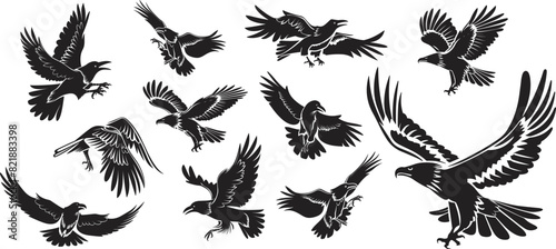 Set of raven, vector illustration.