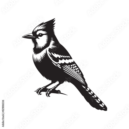 Minimalist Blue Jay Vector Silhouette: The Vibrant Energy and Grace of These Iconic Birds- Blue Jay Illustration - Bird Silhouette. photo