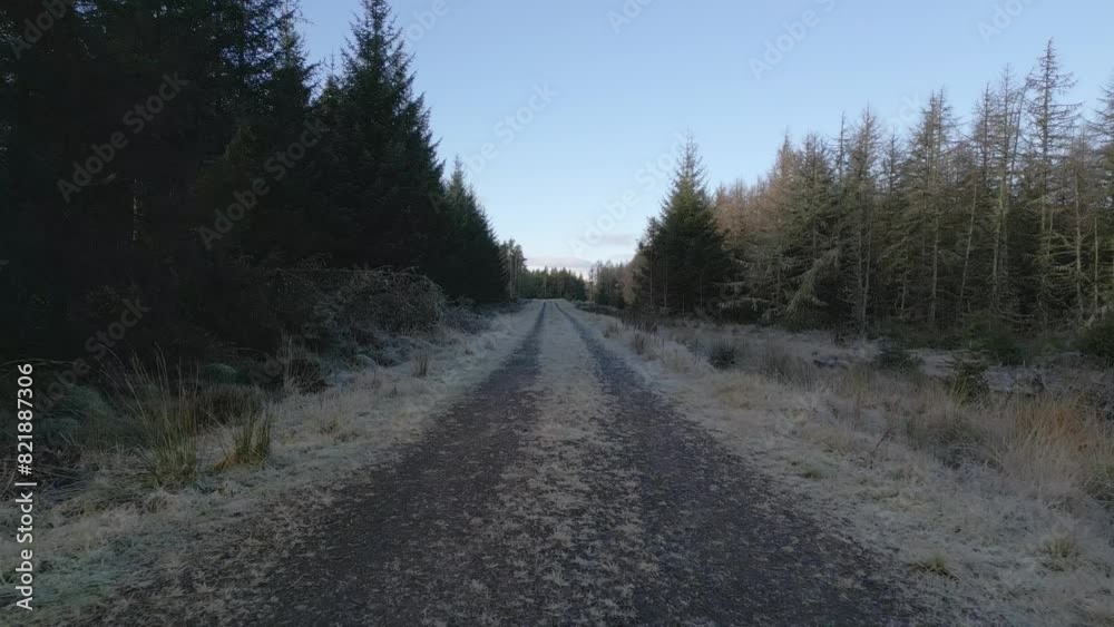 Aerial view of tranquil winter forest with winding road and pine trees, Carter Burn, Scotland, United Kingdom. Aerial view of tranquil winter forest with winding road and pine trees, Carter Burn, Scotland, United Kingdom.